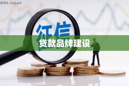 卢龙贷款品牌建设