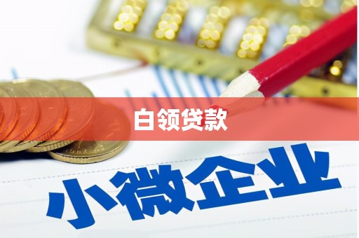 卢龙白领贷款