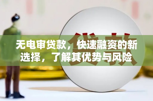 卢龙无电审贷款，快速融资的新选择，了解其优势与风险