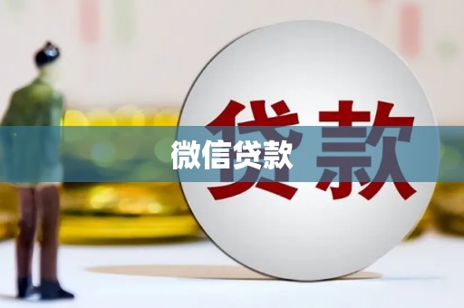 卢龙微信贷款