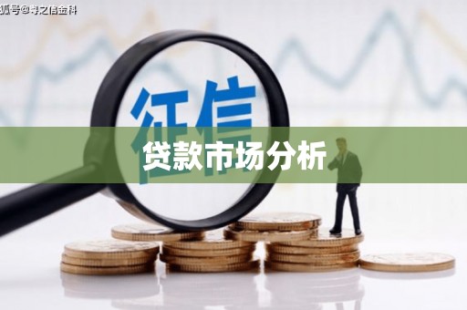 卢龙贷款市场分析
