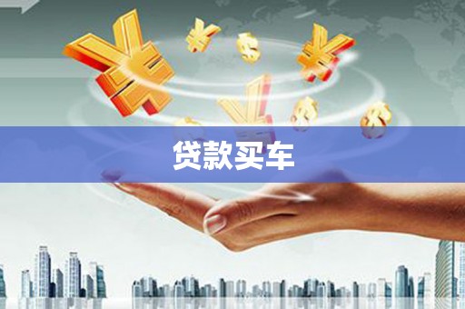 卢龙贷款买车