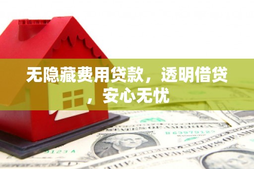 卢龙无隐藏费用贷款，透明借贷，安心无忧