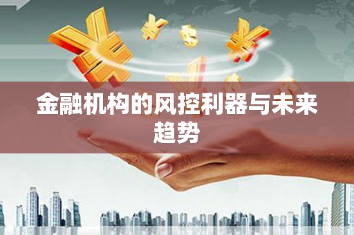 卢龙金融机构的风控利器与未来趋势