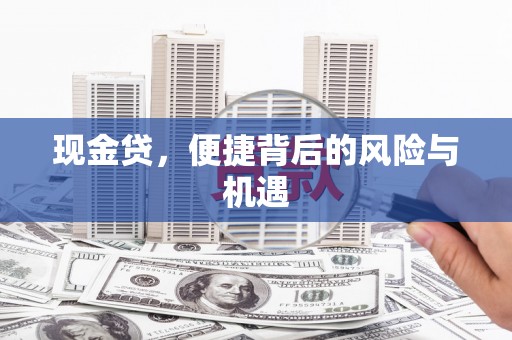卢龙现金贷，便捷背后的风险与机遇