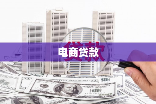 卢龙电商贷款