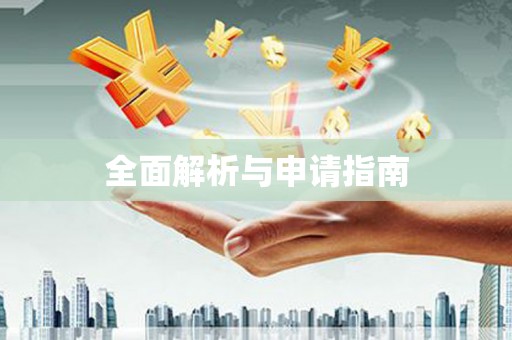 卢龙全面解析与申请指南