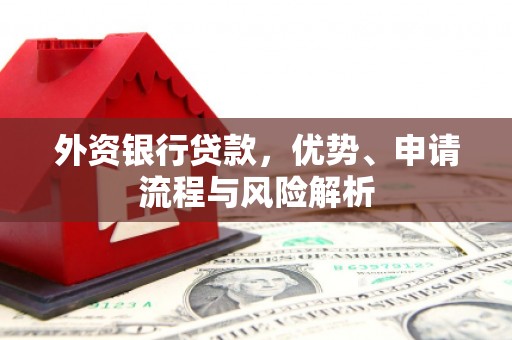 卢龙外资银行贷款，优势、申请流程与风险解析