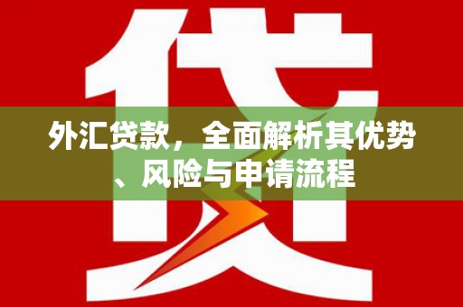 卢龙外汇贷款，全面解析其优势、风险与申请流程