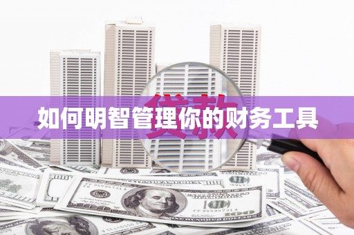 卢龙如何明智管理你的财务工具
