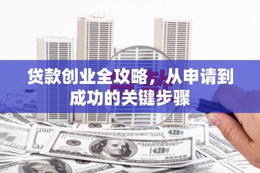 卢龙贷款创业全攻略，从申请到成功的关键步骤