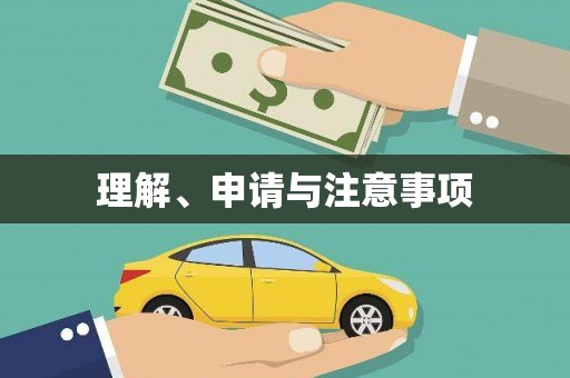 卢龙理解、申请与注意事项