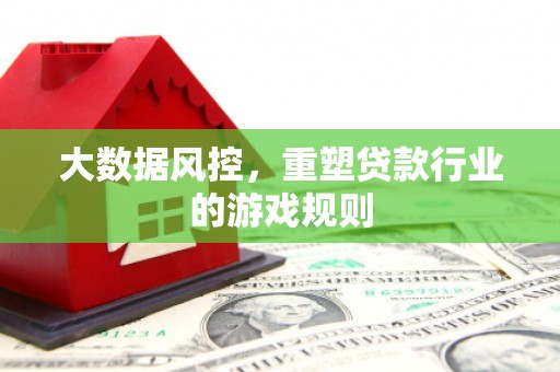 卢龙大数据风控，重塑贷款行业的游戏规则