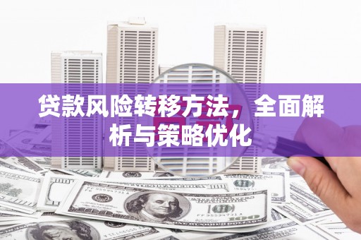 卢龙贷款风险转移方法，全面解析与策略优化