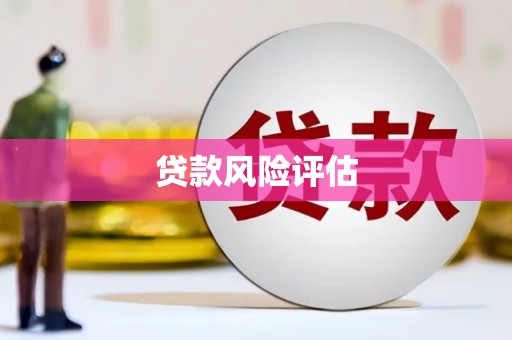 卢龙贷款风险评估