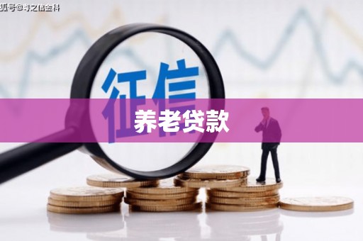 卢龙养老贷款