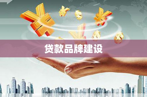 卢龙贷款品牌建设