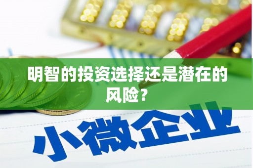 卢龙明智的投资选择还是潜在的风险？