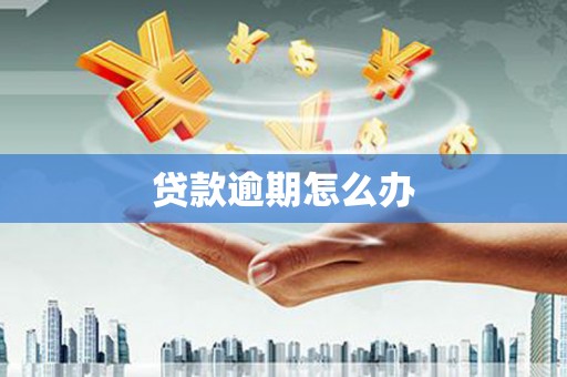 卢龙贷款逾期怎么办