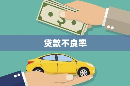 卢龙贷款不良率