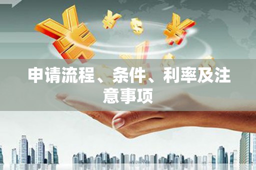 卢龙申请流程、条件、利率及注意事项