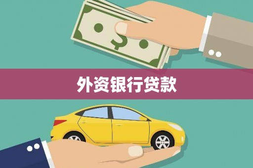 卢龙外资银行贷款