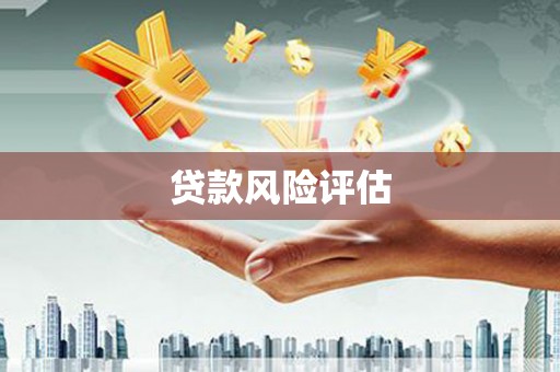 卢龙贷款风险评估