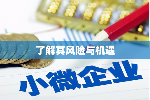 卢龙了解其风险与机遇