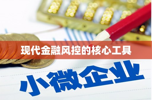 卢龙现代金融风控的核心工具