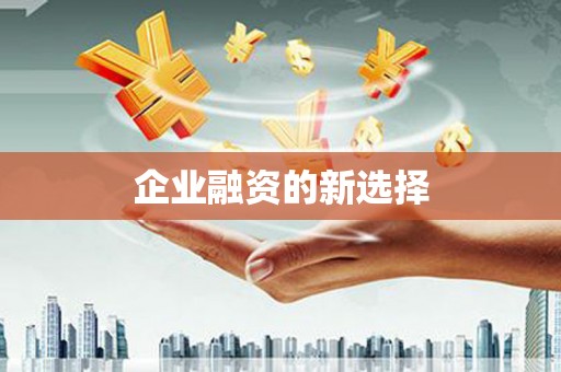 卢龙企业融资的新选择