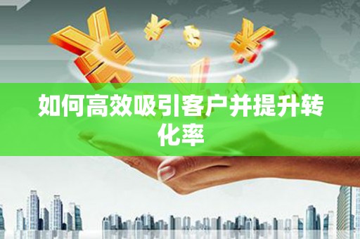 卢龙如何高效吸引客户并提升转化率