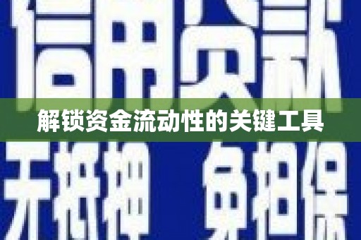 卢龙解锁资金流动性的关键工具
