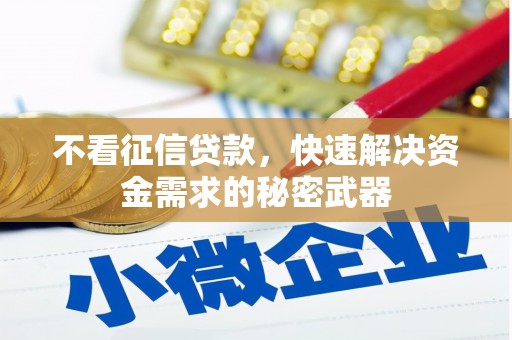 卢龙不看征信贷款，快速解决资金需求的秘密武器