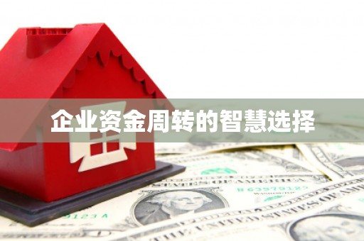卢龙企业资金周转的智慧选择