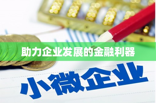 卢龙助力企业发展的金融利器