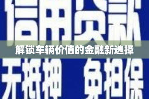 卢龙解锁车辆价值的金融新选择