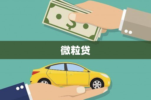 卢龙微粒贷