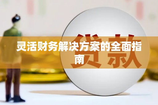 卢龙灵活财务解决方案的全面指南