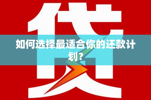 卢龙如何选择最适合你的还款计划？