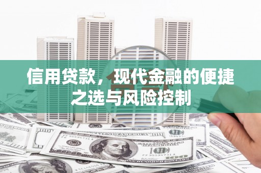 卢龙信用贷款，现代金融的便捷之选与风险控制