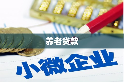 卢龙养老贷款