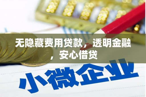 卢龙无隐藏费用贷款，透明金融，安心借贷