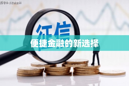 卢龙便捷金融的新选择