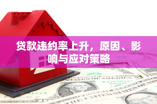卢龙贷款违约率上升，原因、影响与应对策略