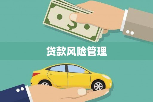 卢龙贷款风险管理