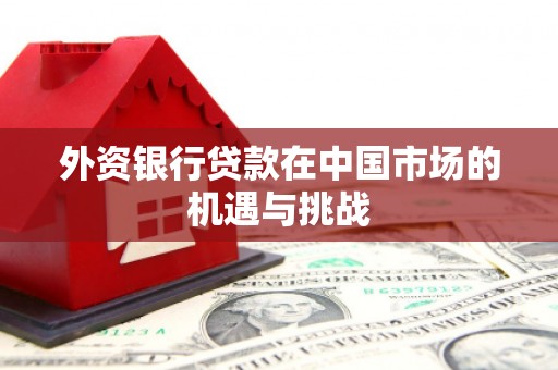 卢龙外资银行贷款在中国市场的机遇与挑战