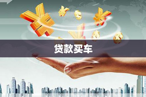 卢龙贷款买车