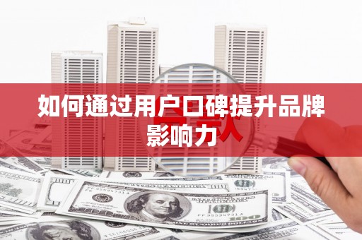 卢龙如何通过用户口碑提升品牌影响力