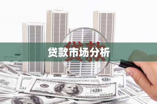 卢龙贷款市场分析