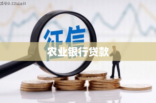 卢龙农业银行贷款